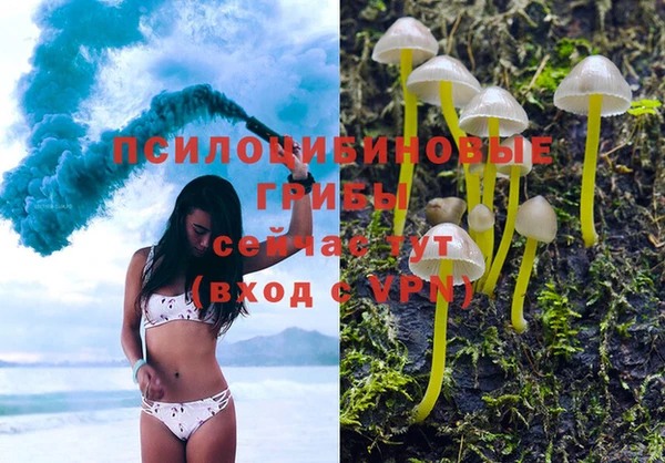 таблы Козельск