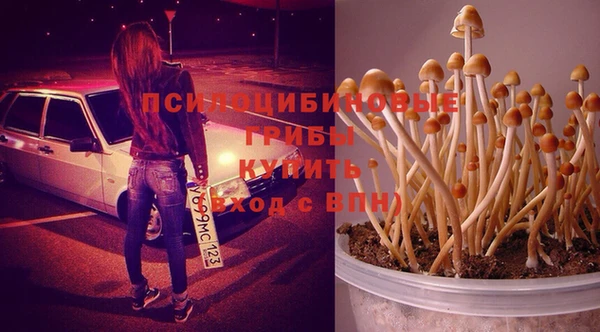 ALPHA-PVP Кодинск